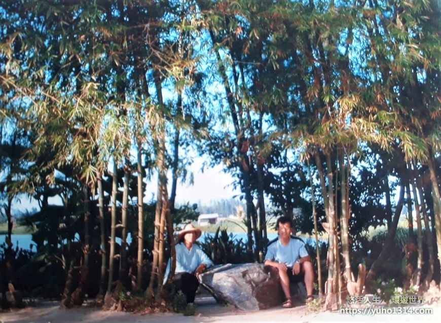 越南會安古城〡旅行的奇妙緣份 - 第8張圖