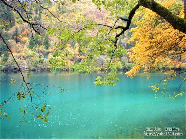 九寨溝自由行 奇遇九寨溝天氣1天4季 歸來不看水!? - 第15張圖