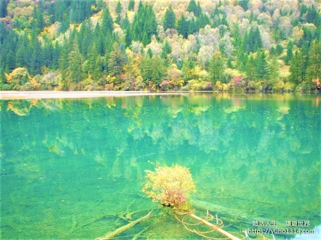 九寨溝自由行 奇遇九寨溝天氣1天4季 歸來不看水!? - 第22張圖
