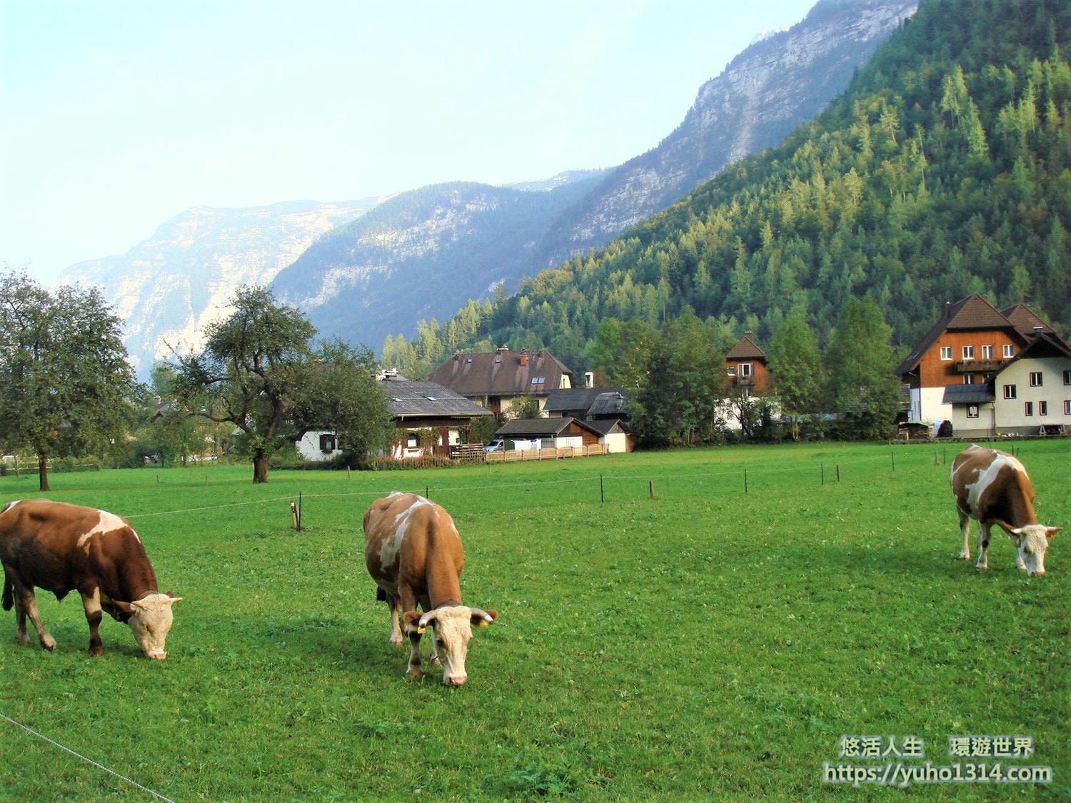 世界最美小鎮 哈修塔特/哈斯塔特Hallstatt的特殊體驗 交通 住宿 景點!❤️ - 第33張圖