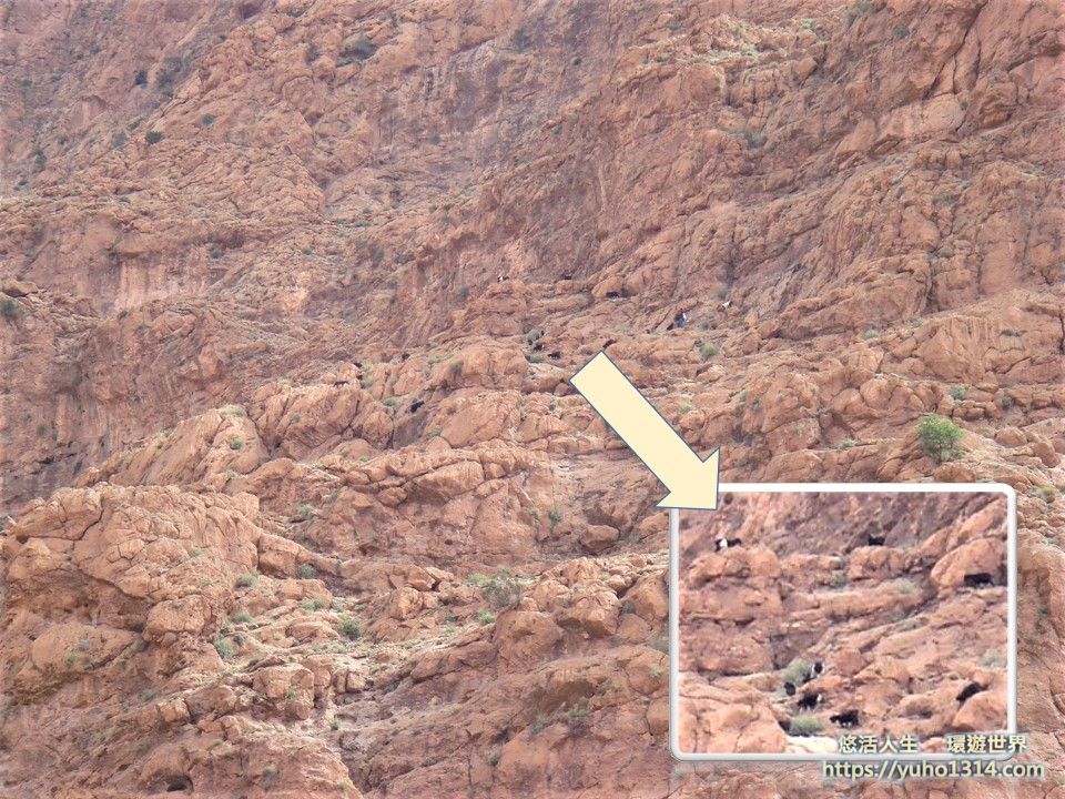 摩洛哥撒哈拉沙漠 你見過這1個世界上”最大最熱”的沙漠嗎? 撒哈拉沙漠團 - 第20張圖