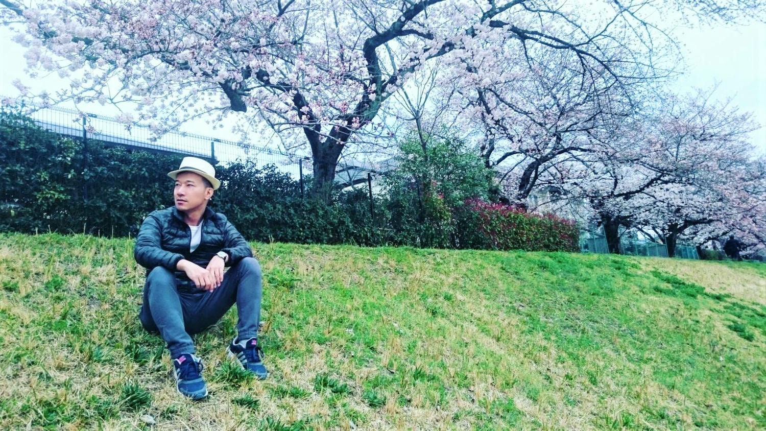 京都櫻花2025🌸京都櫻花季20處日本京都賞櫻景點實用資訊分享(上)(含京都櫻花預測) - 第77張圖