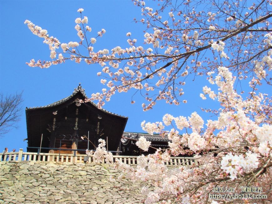 京都櫻花2025🌸京都櫻花季20處日本京都賞櫻景點實用資訊分享(上)(含京都櫻花預測) - 第8張圖