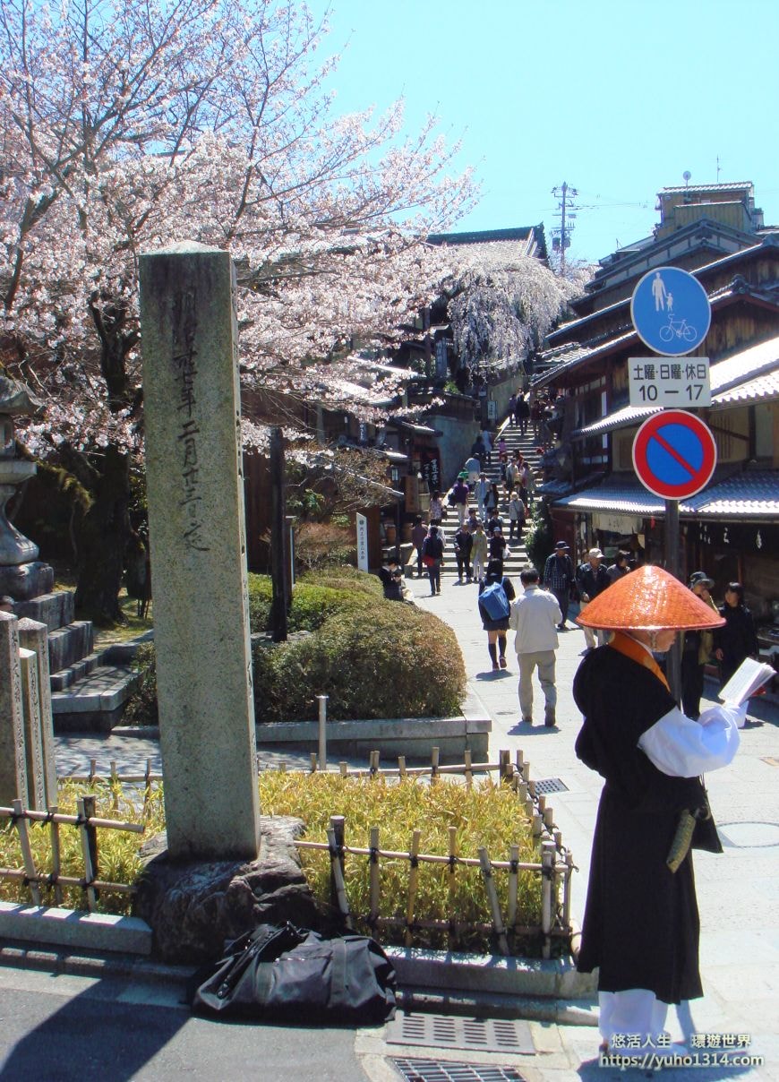 京都櫻花2025🌸京都櫻花季20處日本京都賞櫻景點實用資訊分享(上)(含京都櫻花預測) - 第13張圖