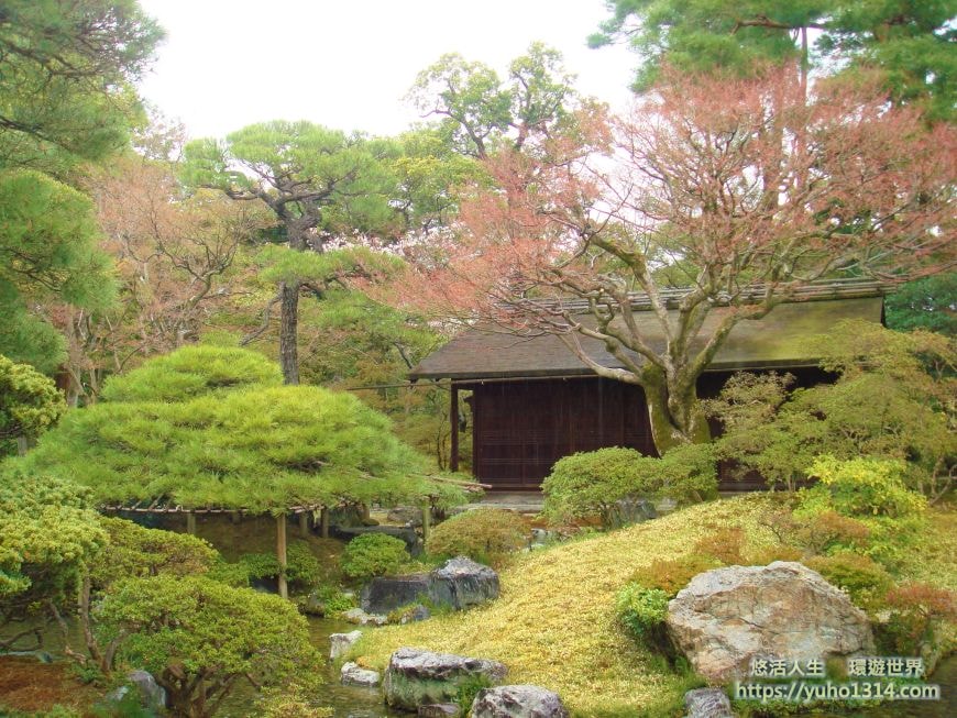 京都櫻花2025🌸京都櫻花季20處日本京都賞櫻景點實用資訊分享(上)(含京都櫻花預測) - 第98張圖