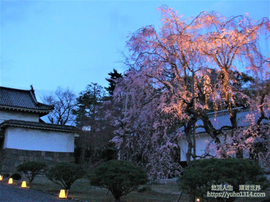 京都櫻花季2025🌸20處日本京都櫻花景點自由行實用資訊分享(下)(含京都賞櫻地圖) - 第17張圖