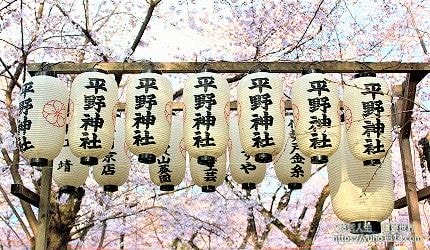 京都櫻花季2025🌸20處日本京都櫻花景點自由行實用資訊分享(下)(含京都賞櫻地圖) - 第27張圖