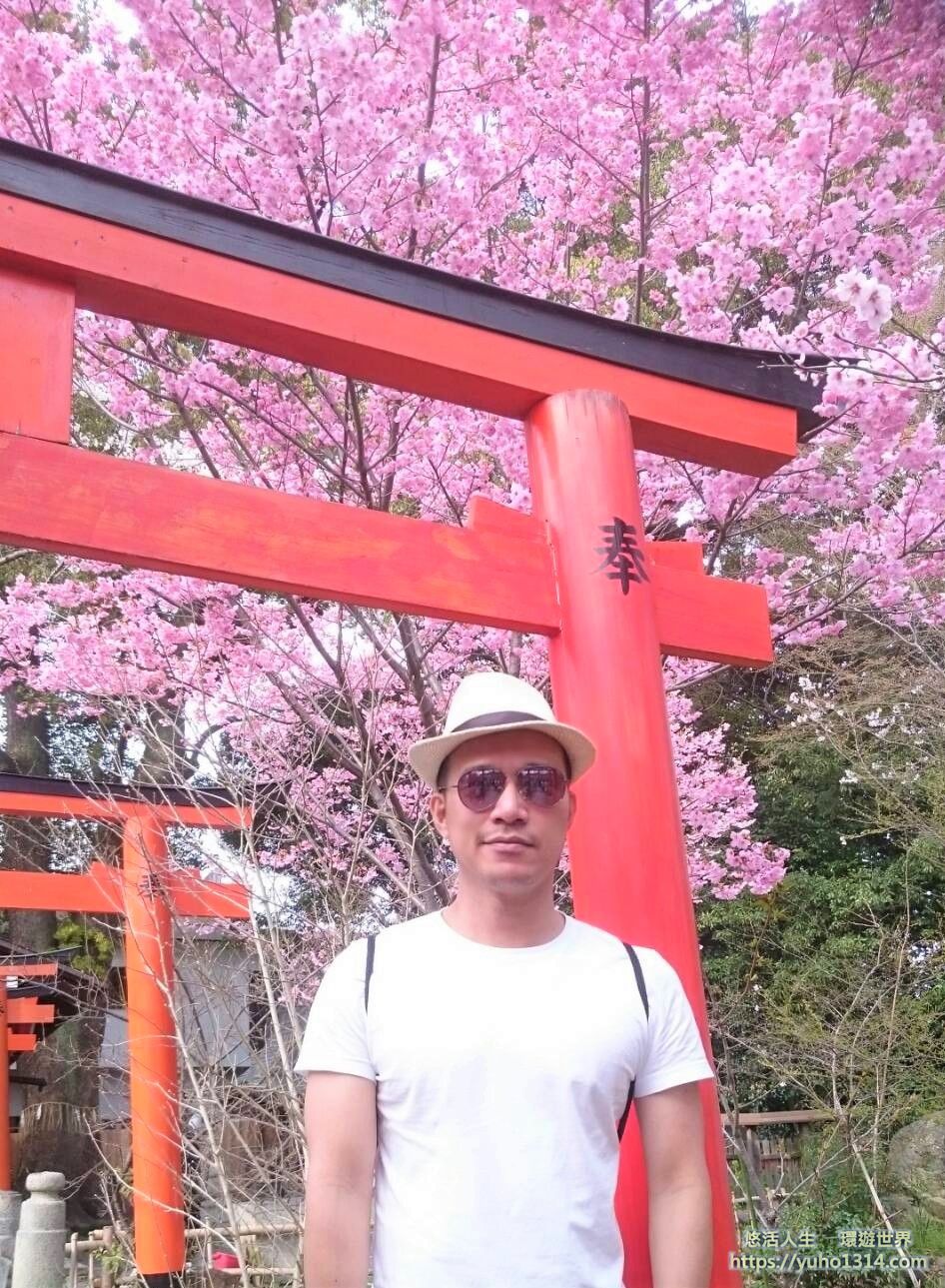 京都櫻花季2025🌸20處日本京都櫻花景點自由行實用資訊分享(下)(含京都賞櫻地圖) - 第29張圖 京都櫻花景點 平野神社櫻花