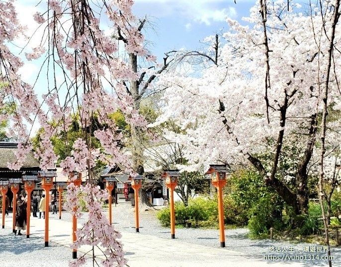 京都櫻花季2025🌸20處日本京都櫻花景點自由行實用資訊分享(下)(含京都賞櫻地圖) - 第28張圖