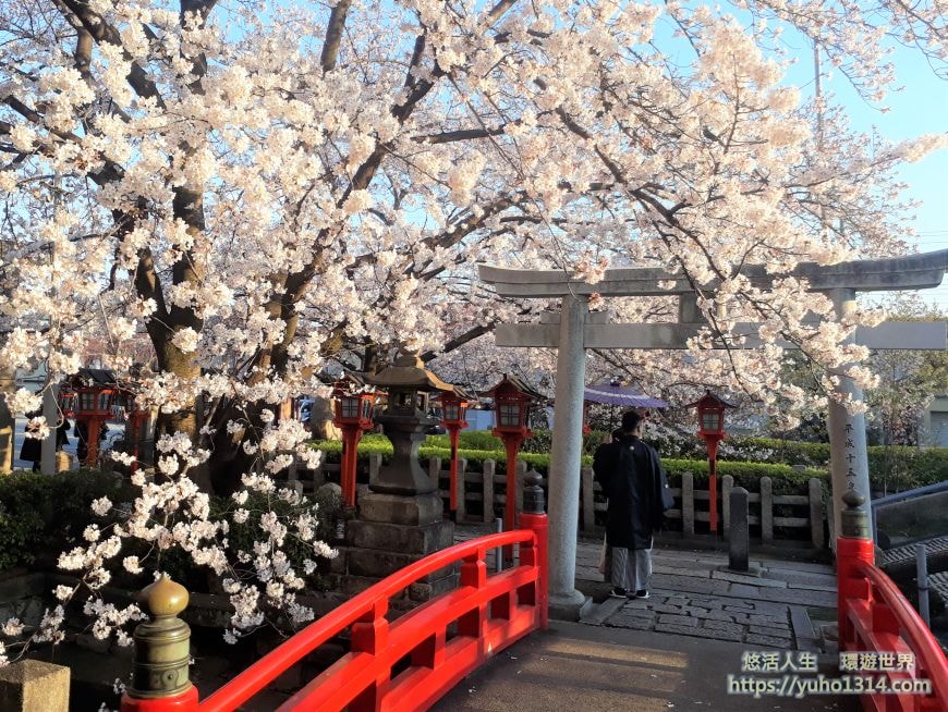 京都櫻花季2025🌸20處日本京都櫻花景點自由行實用資訊分享(下)(含京都賞櫻地圖) - 第34張圖