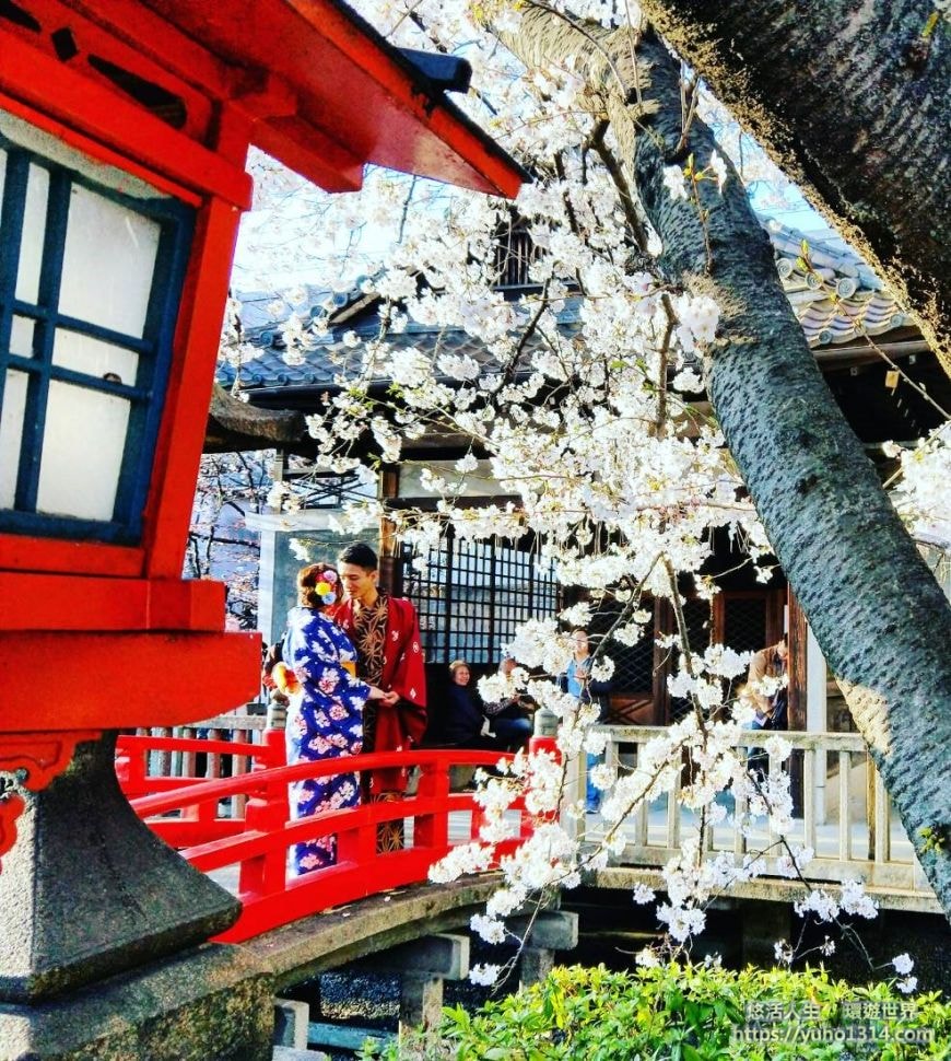 京都櫻花季2025🌸20處日本京都櫻花景點自由行實用資訊分享(下)(含京都賞櫻地圖) - 第35張圖