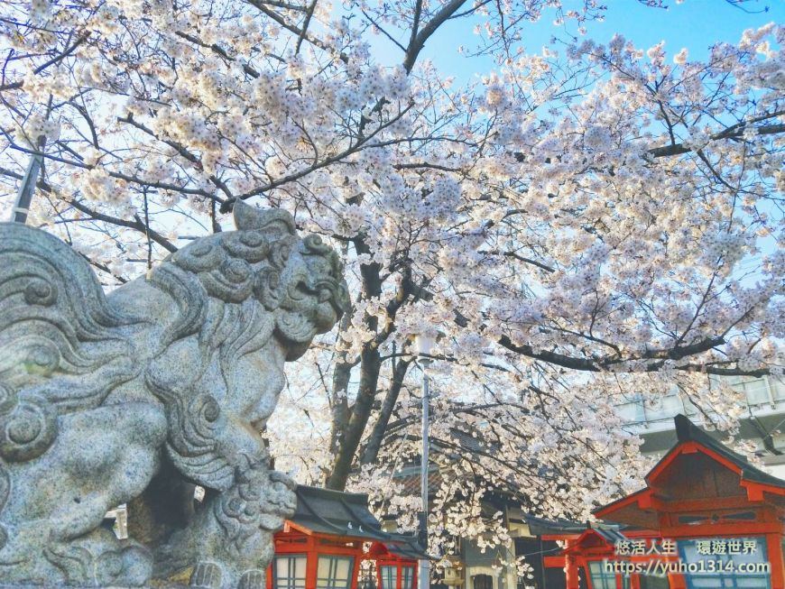 京都櫻花季2025🌸20處日本京都櫻花景點自由行實用資訊分享(下)(含京都賞櫻地圖) - 第30張圖 京都賞櫻私房景點 京都櫻花私房景點 六孫王神社