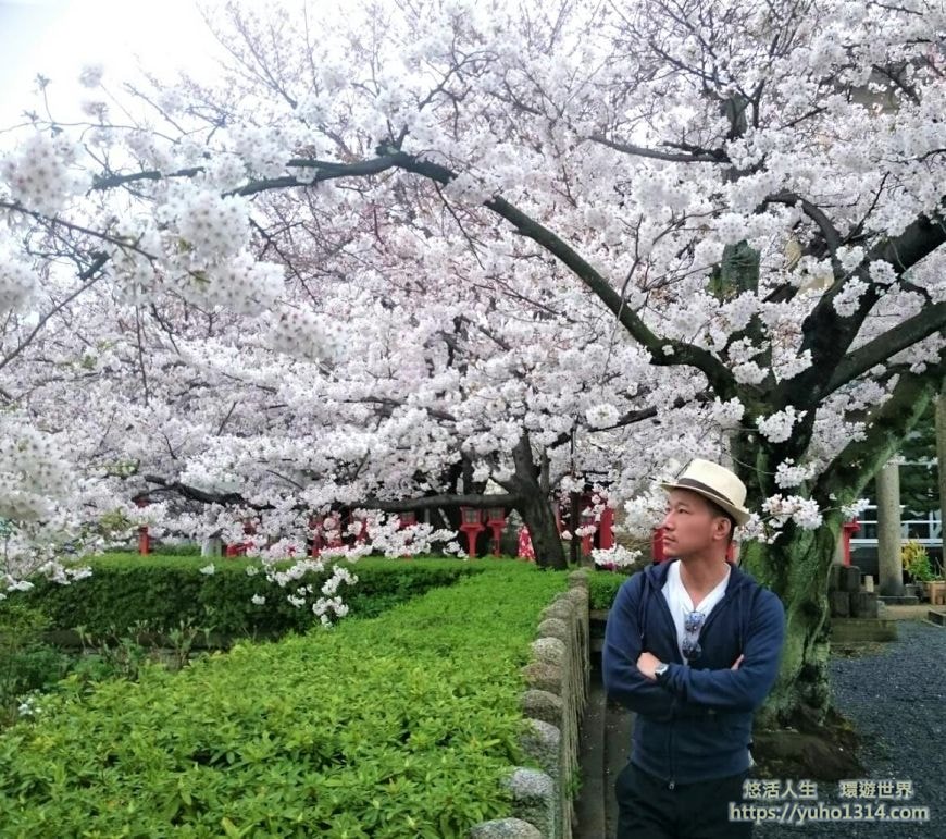 京都櫻花季2025🌸20處日本京都櫻花景點自由行實用資訊分享(下)(含京都賞櫻地圖) - 第36張圖