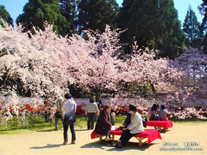 京都櫻花季2025🌸20處日本京都櫻花景點自由行實用資訊分享(下)(含京都賞櫻地圖) - 第56張圖