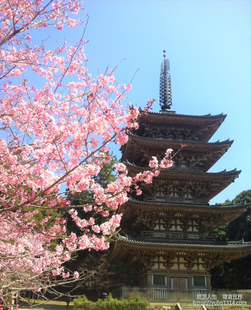 京都櫻花季2025🌸20處日本京都櫻花景點自由行實用資訊分享(下)(含京都賞櫻地圖) - 第47張圖