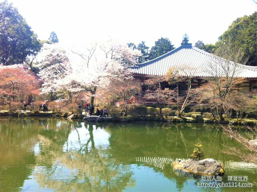京都櫻花季2025🌸20處日本京都櫻花景點自由行實用資訊分享(下)(含京都賞櫻地圖) - 第48張圖