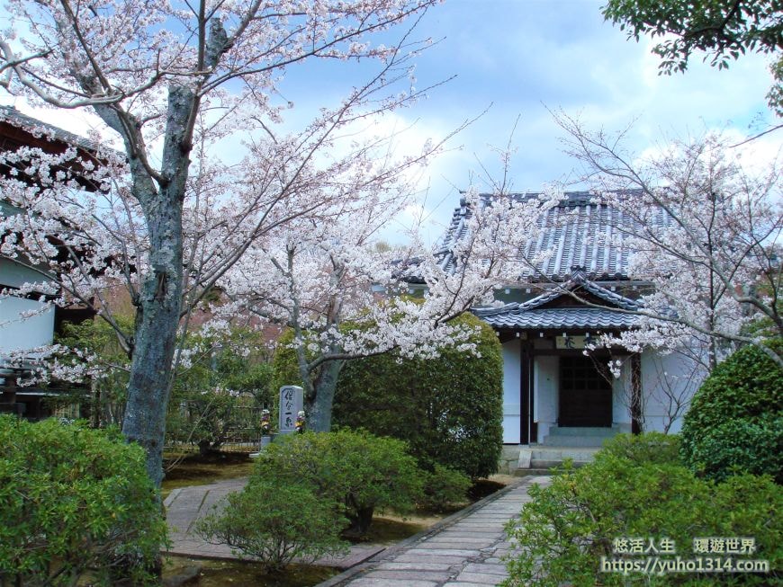 京都櫻花季2025🌸20處日本京都櫻花景點自由行實用資訊分享(下)(含京都賞櫻地圖) - 第75張圖