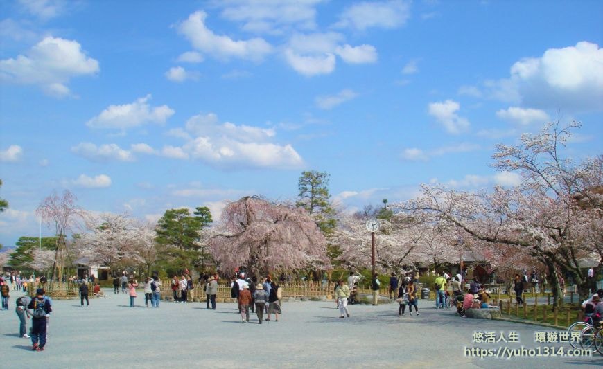 京都櫻花季2025🌸20處日本京都櫻花景點自由行實用資訊分享(下)(含京都賞櫻地圖) - 第77張圖