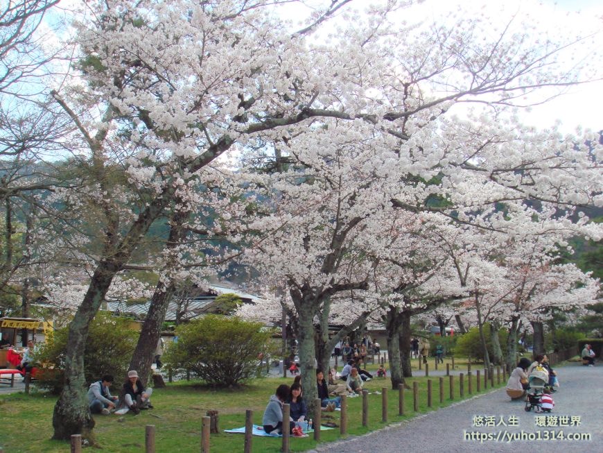 京都櫻花季2025🌸20處日本京都櫻花景點自由行實用資訊分享(下)(含京都賞櫻地圖) - 第78張圖