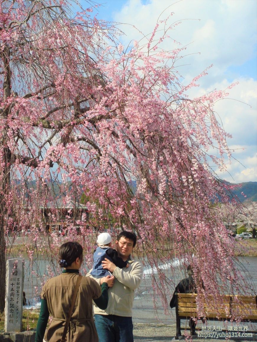 京都櫻花季2025🌸20處日本京都櫻花景點自由行實用資訊分享(下)(含京都賞櫻地圖) - 第79張圖