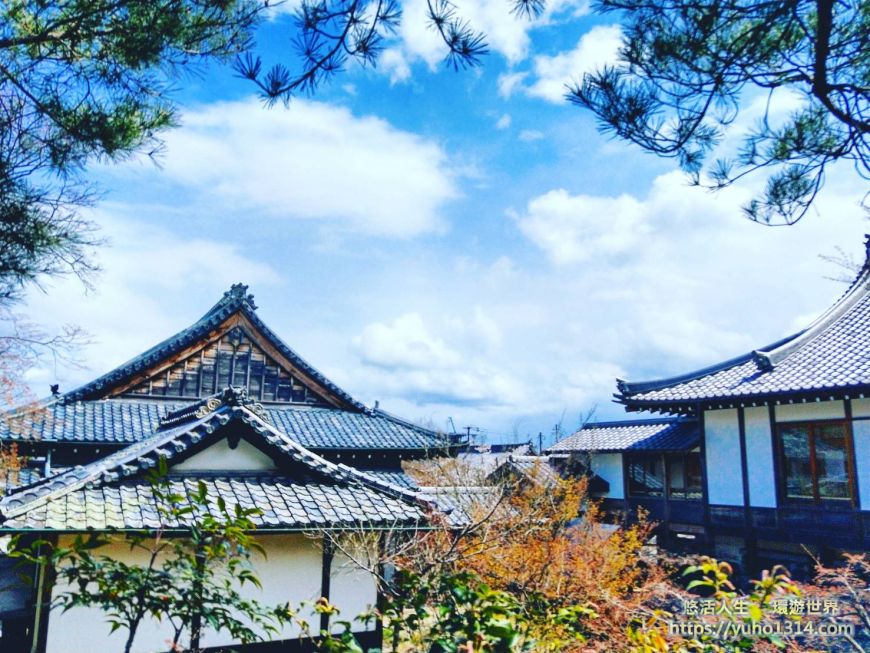 京都櫻花季2025🌸20處日本京都櫻花景點自由行實用資訊分享(下)(含京都賞櫻地圖) - 第61張圖