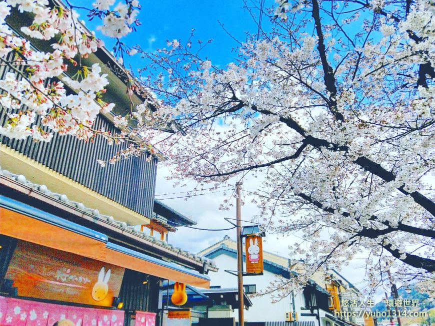 京都櫻花季2025🌸20處日本京都櫻花景點自由行實用資訊分享(下)(含京都賞櫻地圖) - 第59張圖 嵐山櫻花 京都櫻花景點