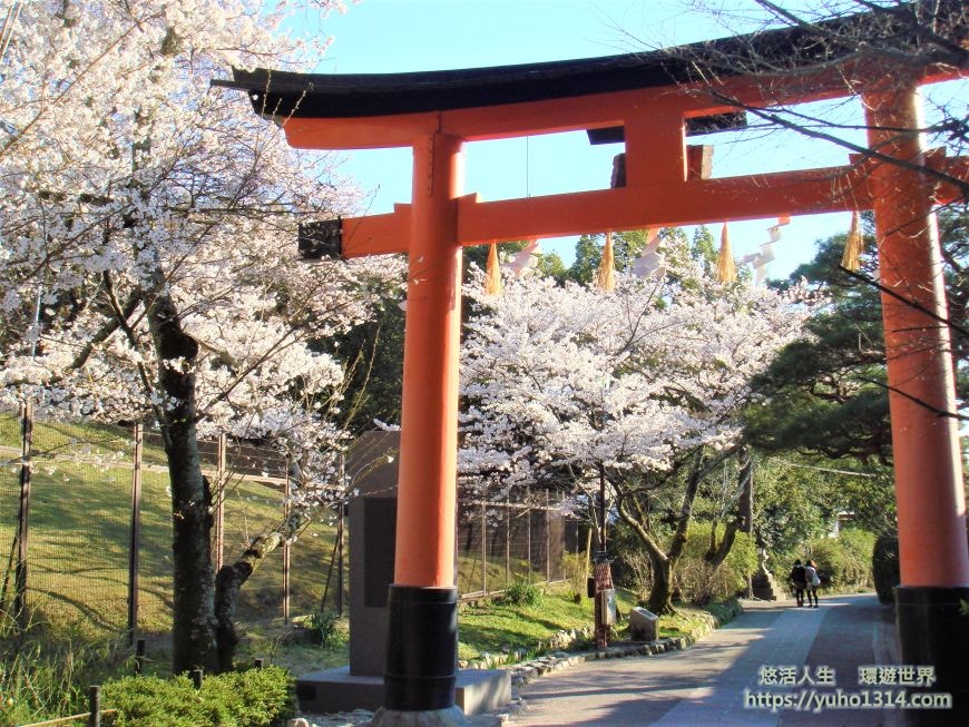 京都櫻花季2025🌸20處日本京都櫻花景點自由行實用資訊分享(下)(含京都賞櫻地圖) - 第86張圖