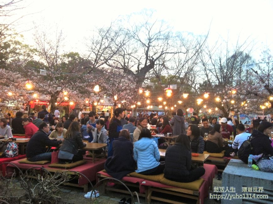 京都櫻花2025🌸京都櫻花季20處日本京都賞櫻景點實用資訊分享(上)(含京都櫻花預測) - 第23張圖