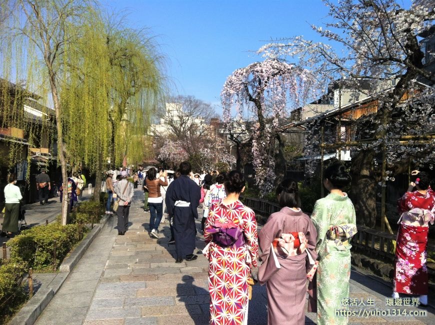 京都櫻花2025🌸京都櫻花季20處日本京都賞櫻景點實用資訊分享(上)(含京都櫻花預測) - 第27張圖