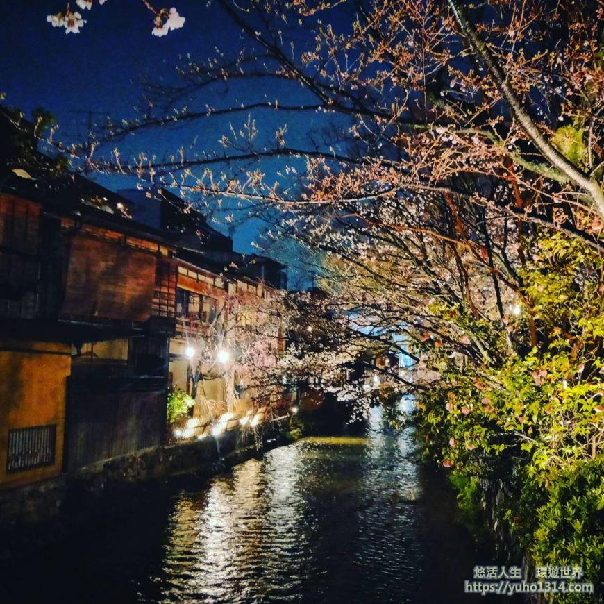 京都櫻花2025🌸京都櫻花季20處日本京都賞櫻景點實用資訊分享(上)(含京都櫻花預測) - 第31張圖