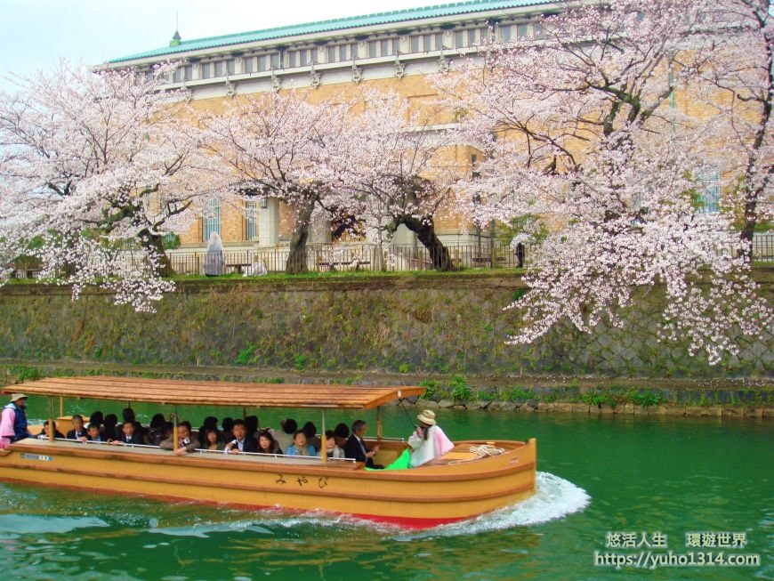 京都櫻花2025🌸京都櫻花季20處日本京都賞櫻景點實用資訊分享(上)(含京都櫻花預測) - 第37張圖