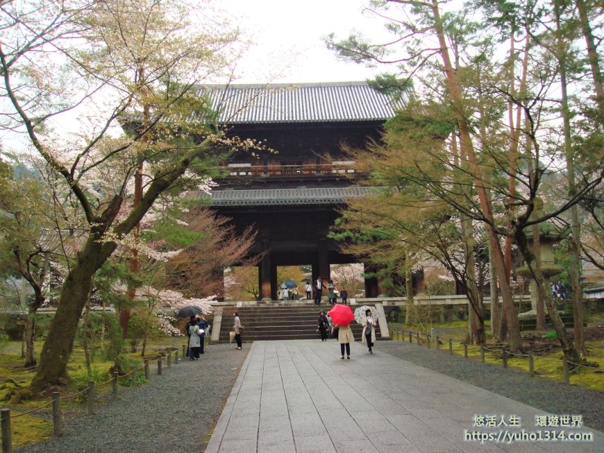 京都櫻花2025🌸京都櫻花季20處日本京都賞櫻景點實用資訊分享(上)(含京都櫻花預測) - 第48張圖