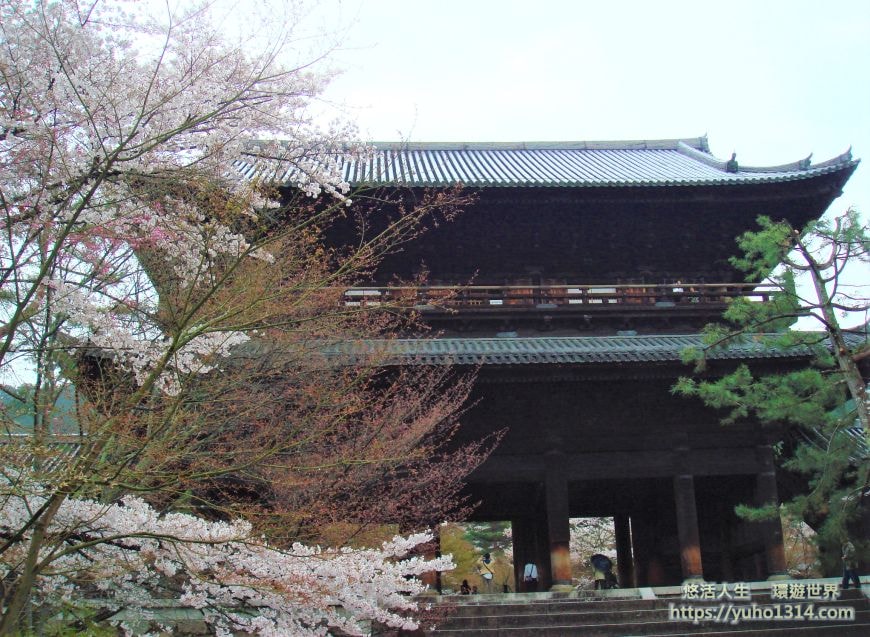 京都櫻花2025🌸京都櫻花季20處日本京都賞櫻景點實用資訊分享(上)(含京都櫻花預測) - 第47張圖 南禪寺櫻花