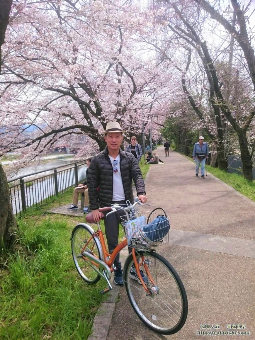 京都櫻花2025🌸京都櫻花季20處日本京都賞櫻景點實用資訊分享(上)(含京都櫻花預測) - 第76張圖