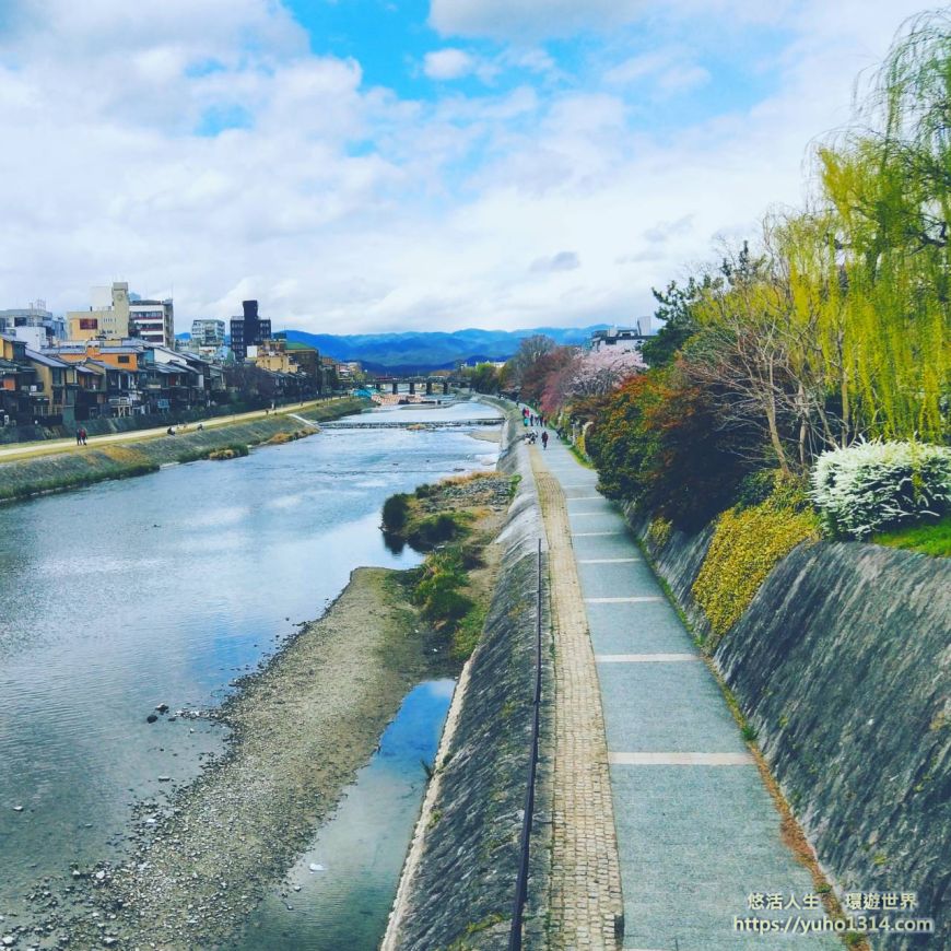 京都櫻花2025🌸京都櫻花季20處日本京都賞櫻景點實用資訊分享(上)(含京都櫻花預測) - 第72張圖 鴨川櫻花