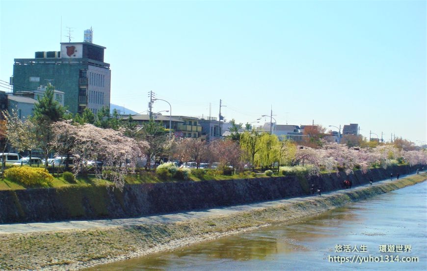 京都櫻花2025🌸京都櫻花季20處日本京都賞櫻景點實用資訊分享(上)(含京都櫻花預測) - 第74張圖