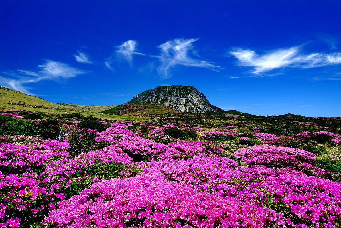 韓國濟洲島 世界新七大自然奇景