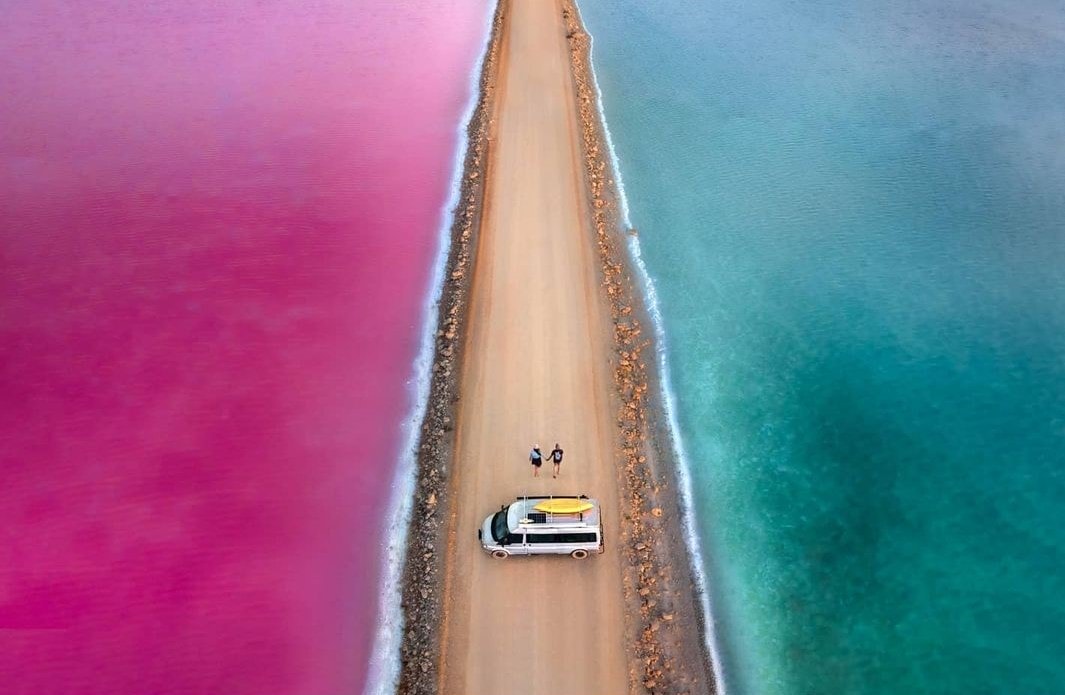 澳洲粉紅湖 麥克唐納湖Lake MacDonnell