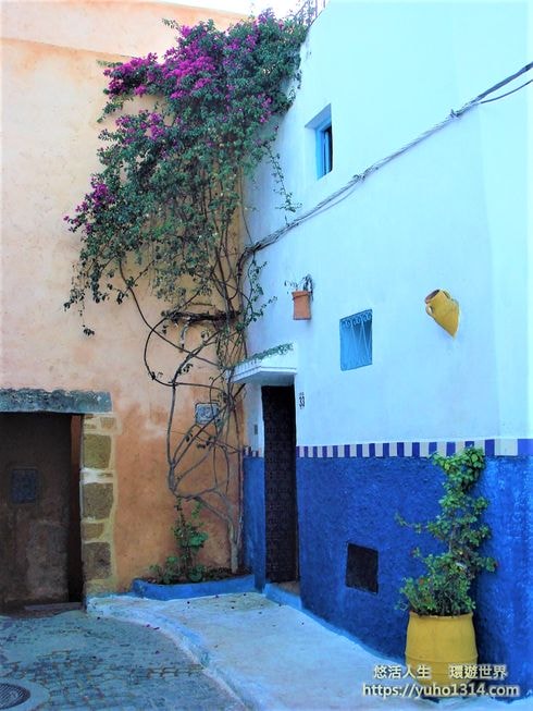 契夫蕭安/舍夫沙萬❤️夢幻摩洛哥藍色小鎮 藍色山城Chefchaouen 美照拍到手軟! - 第32張圖