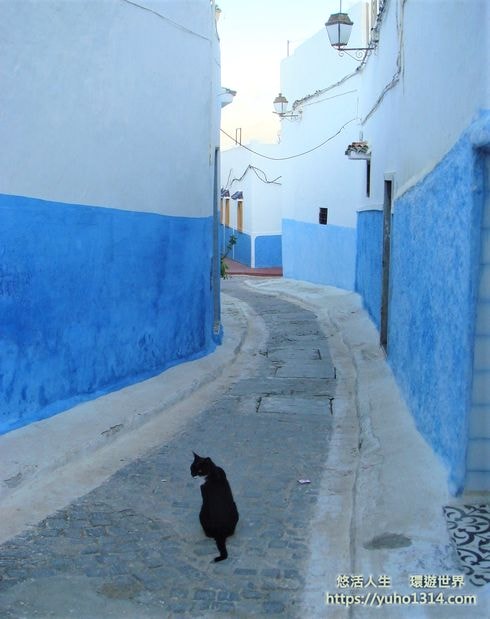 契夫蕭安/舍夫沙萬❤️夢幻摩洛哥藍色小鎮 藍色山城Chefchaouen 美照拍到手軟! - 第33張圖
