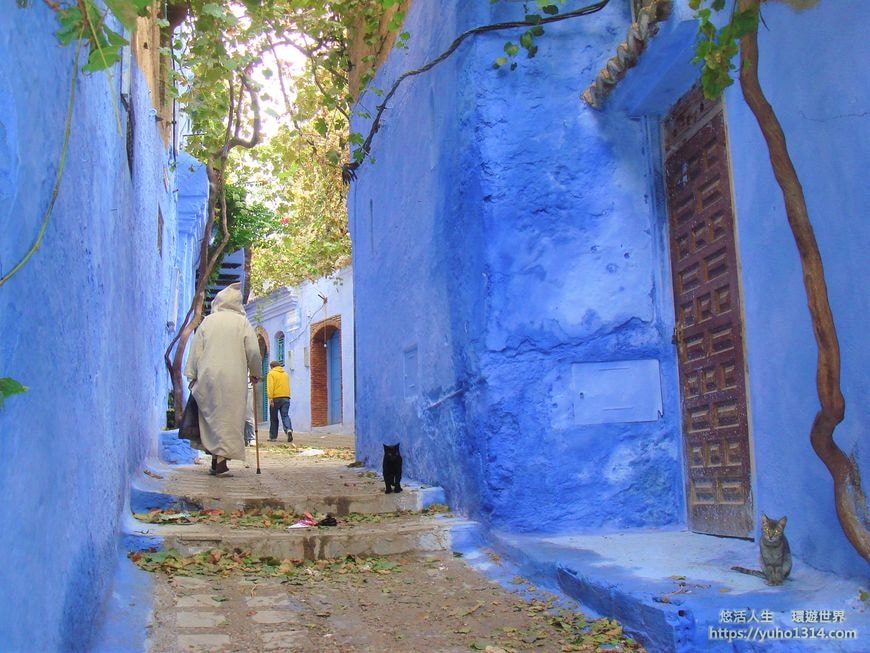 契夫蕭安/舍夫沙萬❤️夢幻摩洛哥藍色小鎮 藍色山城Chefchaouen 美照拍到手軟! - 第49張圖