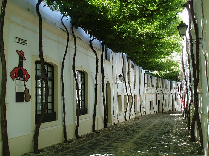 賞花景點花海街道12. 西班牙 赫雷斯Jerez