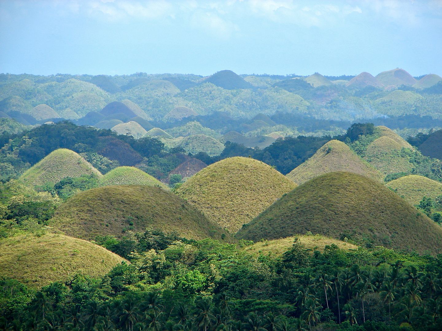 世界奇特地球美景3.巧克力山，菲律賓(Chocolate Hills，Philippines)