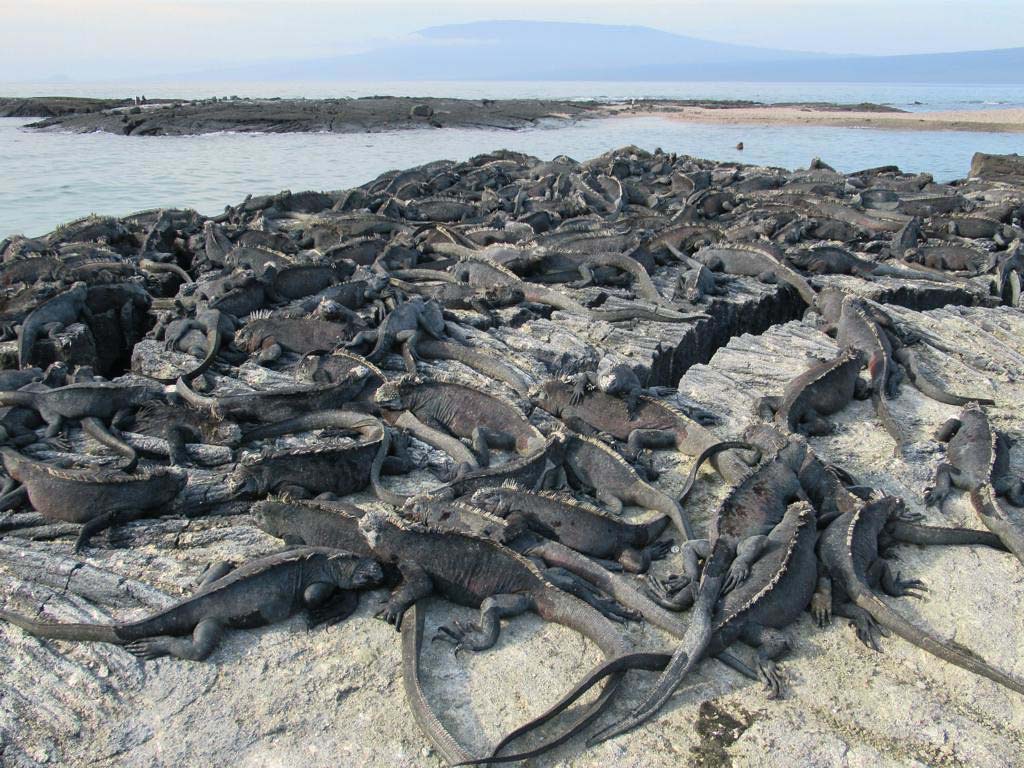 海島旅遊推薦2025❤️規劃來這10處【世界最美最夢幻小島】享受最浪漫海島度假(海島國家旅遊) - 第31張圖