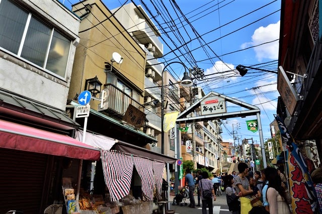 東京私房景點ptt 2025❤️你知道這10處特舒美麗東京私房冷門景點與櫻花景點🌸 - 第2張圖 東京私房景點 東京冷門景點