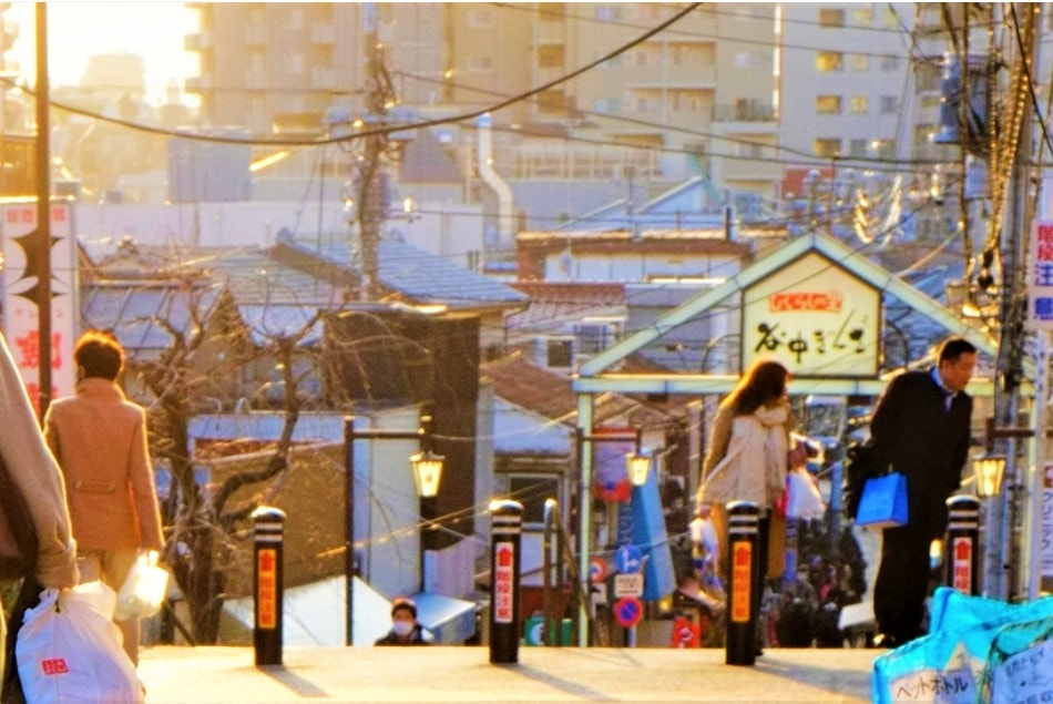 東京私房景點ptt 2025❤️你知道這10處特舒美麗東京私房冷門景點與櫻花景點🌸 - 第4張圖 東京私房景點ptt dcard