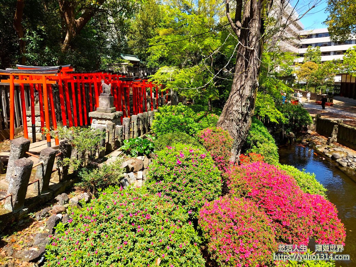 東京私房景點ptt 2025❤️你知道這10處特舒美麗東京私房冷門景點與櫻花景點🌸 - 第7張圖