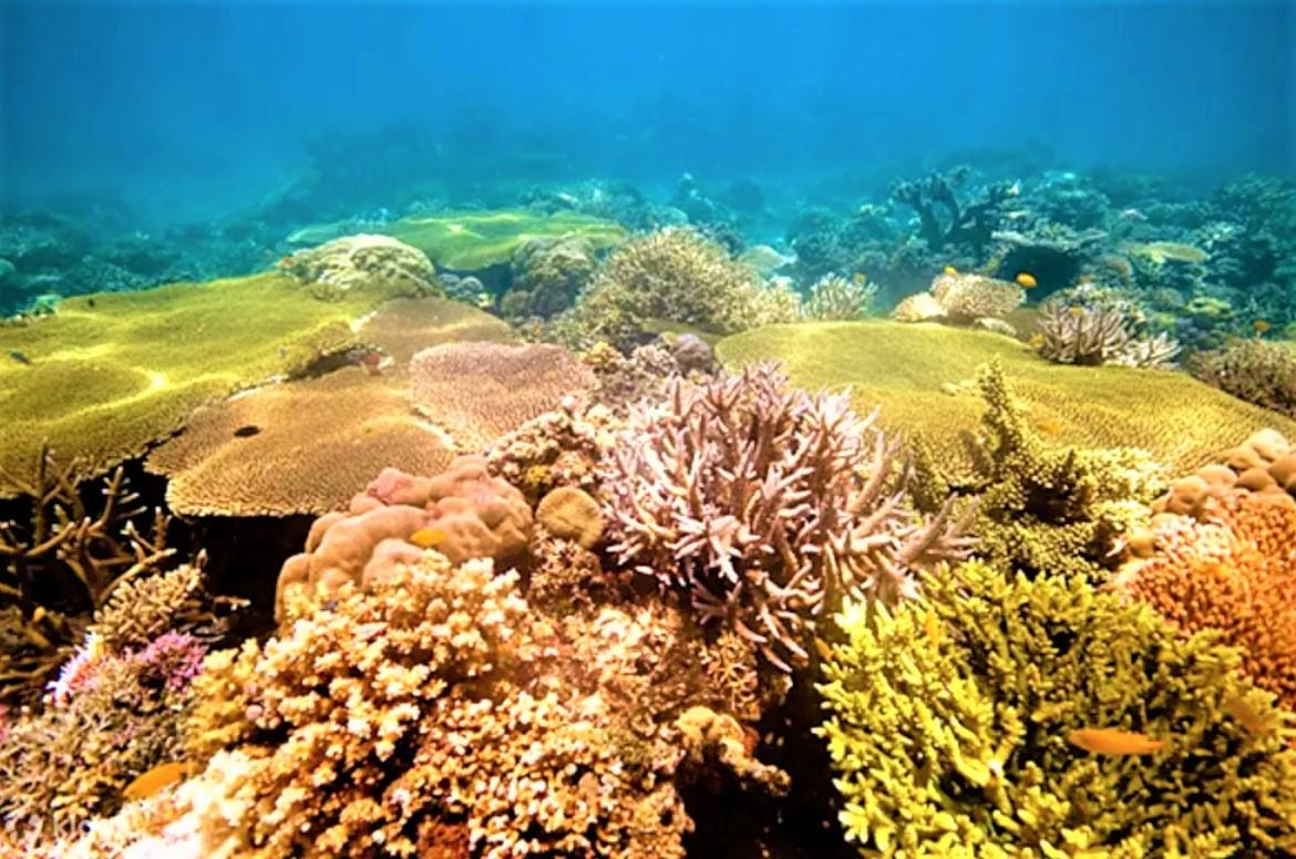 巴拉望自由行 菲律賓巴拉望島公主港愛妮島科隆島自由行攻略 交通住宿景點美食規畫安排推薦! - 第27張圖
