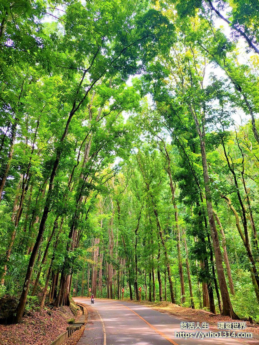 宿霧薄荷島自由行攻略2025❤️宿霧自助 薄荷島自助旅遊心得交通住宿飯店景點美食餐廳推薦! - 第19張圖 薄荷島包車