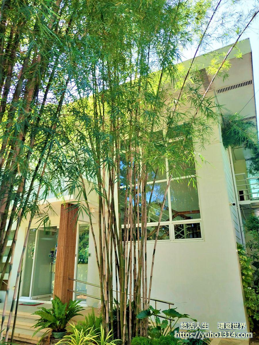 巴拉望自由行 菲律賓巴拉望島公主港愛妮島科隆島自由行攻略 交通住宿景點美食規畫安排推薦! - 第6張圖 巴拉望住宿推薦 巴拉望飯店